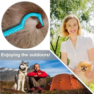 ZooVenture 3 Zeckenhaken – 3 Größen, Etui ZooVenture 3 Zeckenhaken – 3 Größen, Etui
