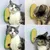 FurryFusion Gratte - soie en forme de pois pour chats FurryFusion Gratte - soie en forme de pois pour chats