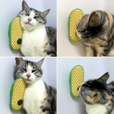 FurryFusion Gratte - soie en forme de pois pour chats FurryFusion Gratte - soie en forme de pois pour chats