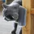 FurryFusion Gratte - coin massant et démêlant pour chats FurryFusion Gratte - coin massant et démêlant pour chats