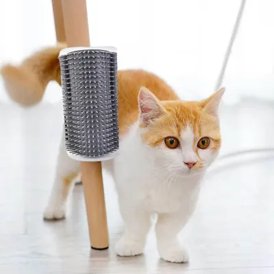 FurryFusion Gratte - coin massant et démêlant pour chats FurryFusion Gratte - coin massant et démêlant pour chats
