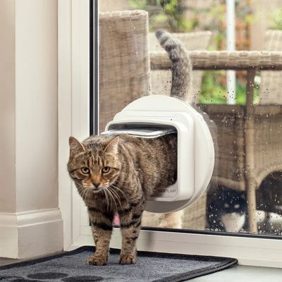 Applicable à Surefeed Puce RFID à porter au collier pour chat