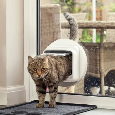 Applicable à Surefeed Puce RFID à porter au collier pour chat