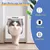 PetTribes Katzentür mit 4-Wege-Verschluss, Mittlere Größe PetTribes Katzentür mit 4-Wege-Verschluss, Mittlere Größe