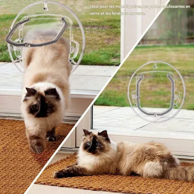 FurryFusion Puerta transparente de cristal para gatos y perros