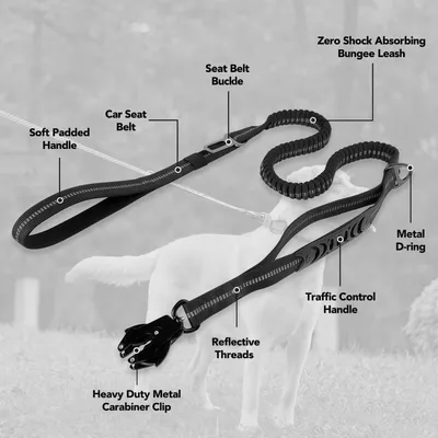 ZooVenture Laisse Chien Tactique - Élastique, Boucle Grenouille ZooVenture Laisse Chien Tactique - Élastique, Boucle Grenouille