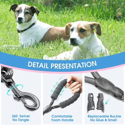 ZooVenture Heavy Duty Dog Leash - Reflective Rope & Carabiner ZooVenture Heavy Duty Dog Leash - Reflective Rope & Carabiner