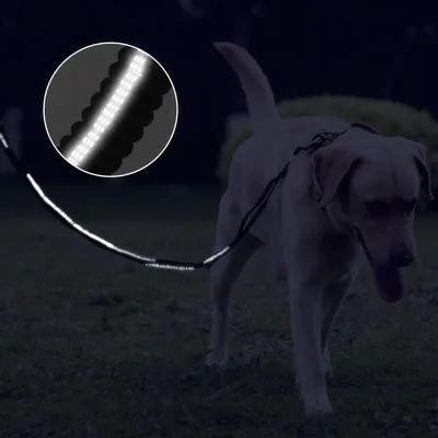 ZooVenture Laisse Chien Tactique - Élastique, Boucle Grenouille