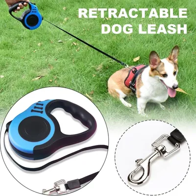 ZooVenture Laisse Rétractable Chien - ABS, 5m, Antidérapant