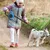 ZooVenture Laisse Rétractable Chien - ABS, 5m, Antidérapant
