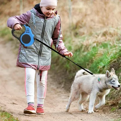 ZooVenture Laisse Rétractable Chien - ABS, 5m, Antidérapant