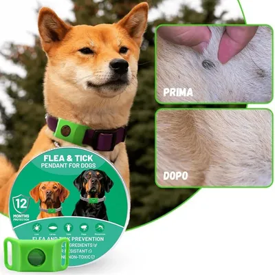 ZooVenture Collier Anti-Puces Naturel - Huiles, 60 Jours, Étanche ZooVenture Collier Anti-Puces Naturel - Huiles, 60 Jours, Étanche