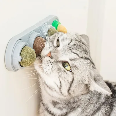 Zoomtopia Boules herbe à chat 4 saveurs mural rotatif 360° Zoomtopia Boules herbe à chat 4 saveurs mural rotatif 360°