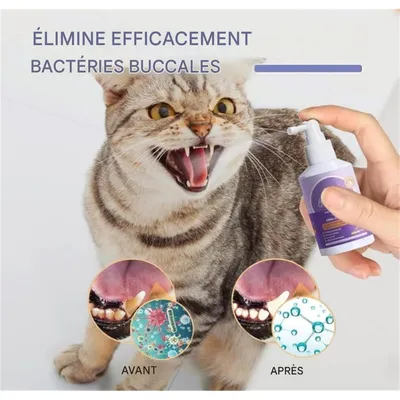 Zoomtopia Spray nettoyage dentaire pour chien et chat haleine fraîche Zoomtopia Spray nettoyage dentaire pour chien et chat haleine fraîche