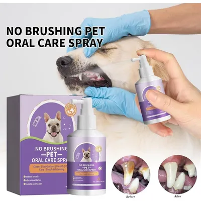 Zoomtopia Spray nettoyage dentaire pour chien et chat haleine fraîche Zoomtopia Spray nettoyage dentaire pour chien et chat haleine fraîche