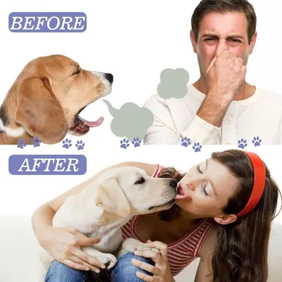 Zoomtopia Spray nettoyage dentaire pour chien et chat haleine fraîche Zoomtopia Spray nettoyage dentaire pour chien et chat haleine fraîche