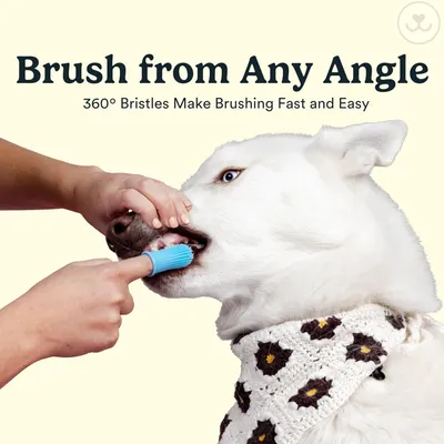 ZooVenture 360° Dog Toothbrush Finger Brush - Dental Care ZooVenture 360° Dog Toothbrush Finger Brush - Dental Care