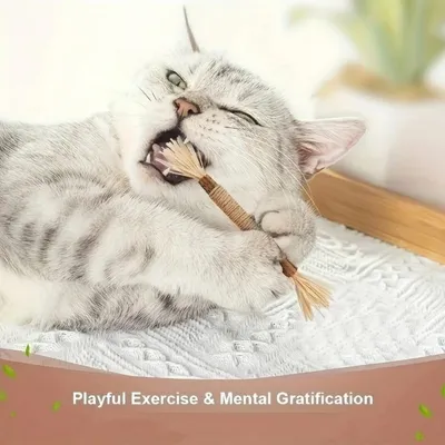 Jouet à mâcher interactif pour chat - Brosse en argentin avec corde