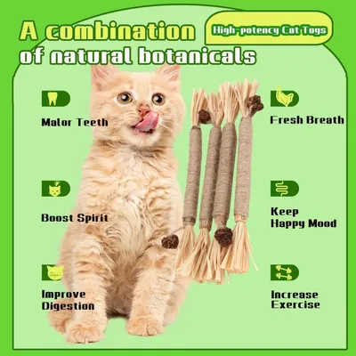Jouet à mâcher interactif pour chat - Brosse en argentin avec corde