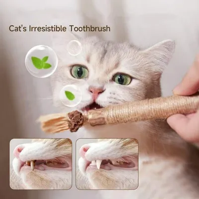 Jouet à mâcher interactif pour chat - Brosse en argentin avec corde