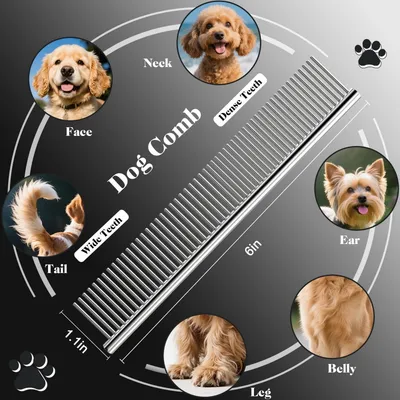 Kit de toilettage 4 en 1 pour chiens et chats à bouts ronds Kit de toilettage 4 en 1 pour chiens et chats à bouts ronds