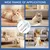 PetTribes Kit Toilettage Chien Ciseaux Grooming Pro PetTribes Kit Toilettage Chien Ciseaux Grooming Pro