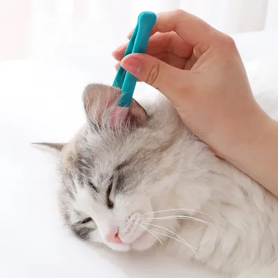 MCBOSON 2 peignes anti-taches adaptés aux petits chiens et chats MCBOSON 2 peignes anti-taches adaptés aux petits chiens et chats