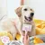 PetTribes Brosse Auto-Nettoyante Animaux - Poils Longs Courts Chiens Chats PetTribes Brosse Auto-Nettoyante Animaux - Poils Longs Courts Chiens Chats