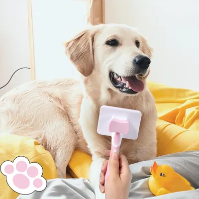 PetTribes Brosse Auto-Nettoyante Animaux - Poils Longs Courts Chiens Chats PetTribes Brosse Auto-Nettoyante Animaux - Poils Longs Courts Chiens Chats