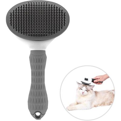 ZooVenture Brosse Libération Une Touche