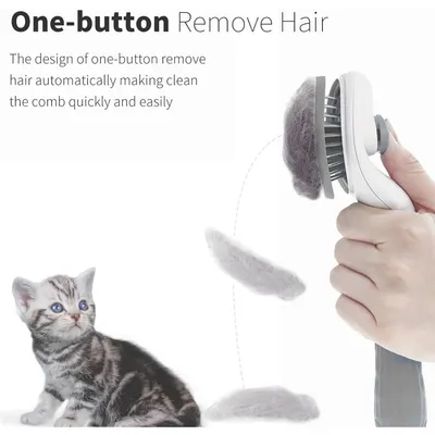 ZooVenture Brosse Libération Une Touche
