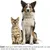 PetTribes Brosse Silicone Animaux 2 Pièces Vert Ajustable PetTribes Brosse Silicone Animaux 2 Pièces Vert Ajustable