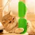 PetTribes Brosse Silicone Animaux 2 Pièces Vert Ajustable PetTribes Brosse Silicone Animaux 2 Pièces Vert Ajustable