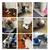 PetTribes Brosse Auto-Grattage Chat Fixable Mur Meuble Sensible PetTribes Brosse Auto-Grattage Chat Fixable Mur Meuble Sensible