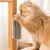 FurryFusion Peigne auto-nettoyant pour chat FurryFusion Peigne auto-nettoyant pour chat