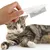 PetTribes Peigne Toilettage Multifonction Animaux (Blanc, Lot de 2) PetTribes Peigne Toilettage Multifonction Animaux (Blanc, Lot de 2)