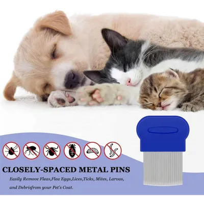 ZooVenture Kit Peigne Multifonction 4 Pièces ZooVenture Kit Peigne Multifonction 4 Pièces