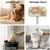 ZooVenture Brosse Lissante Chien - Antidérapant, Métal, Rapide ZooVenture Brosse Lissante Chien - Antidérapant, Métal, Rapide