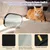 ZooVenture Gant Épilation Chat Chien - Double Face, TPR, Lavable ZooVenture Gant Épilation Chat Chien - Double Face, TPR, Lavable