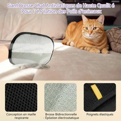 ZooVenture Gant Épilation Chat Chien - Double Face, TPR, Lavable ZooVenture Gant Épilation Chat Chien - Double Face, TPR, Lavable