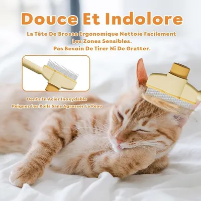 ZooVenture Brosse Élimination Poils Chat ZooVenture Brosse Élimination Poils Chat