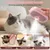 ZooVenture Brosse Vapeur 3 en 1 Chat Chien USB ZooVenture Brosse Vapeur 3 en 1 Chat Chien USB