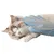 FurryFusion Gant de toilettage pour animaux de compagnie FurryFusion Gant de toilettage pour animaux de compagnie