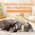 MCBOSON Brosse Attrape-Poils Anti-Poils Jaune Chat Chien MCBOSON Brosse Attrape-Poils Anti-Poils Jaune Chat Chien