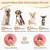 ZooVenture Collerette Gonflable Chien Réglable ZooVenture Collerette Gonflable Chien Réglable