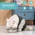 ZooVenture postoperativer Schutzgurt
