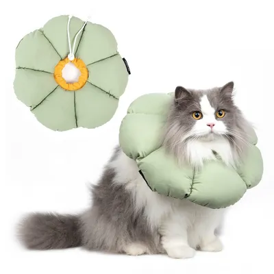PetTribes Collier Élisabeth Chat L, vert matcha, imperméable anti-léchage PetTribes Collier Élisabeth Chat L, vert matcha, imperméable anti-léchage