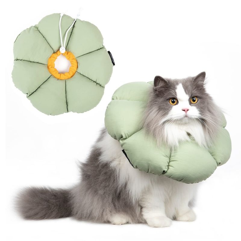 PetTribes Collier Élisabeth Chat L, vert matcha, imperméable anti-léchage