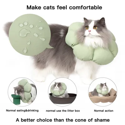 PetTribes Collier Élisabeth Chat L, vert matcha, imperméable anti-léchage PetTribes Collier Élisabeth Chat L, vert matcha, imperméable anti-léchage