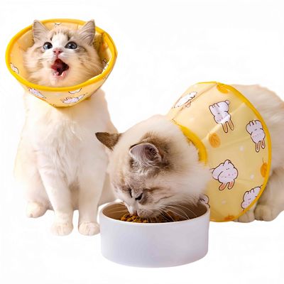 FurryFusion Collier d'Élisabeth pour chat